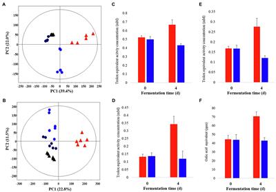 Solid-State Fermentation With Aspergillus cristatus Enhances the Protopanaxadiol- and Protopanaxatriol-Associated Skin Anti-aging Activity of Panax notoginseng